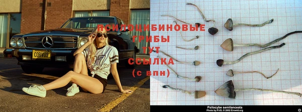 jwh Алзамай