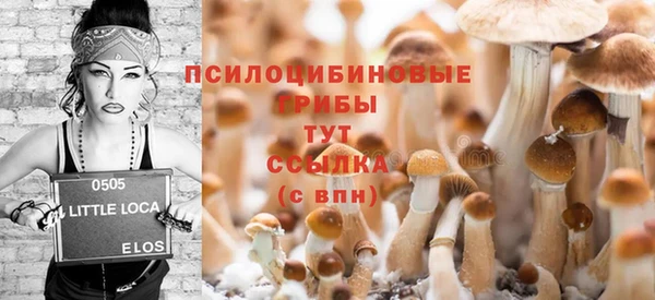 ешки Алексин